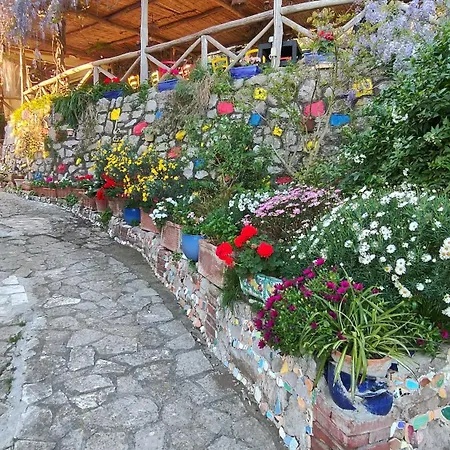 Giardino 21 Marzo-2